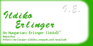 ildiko erlinger business card